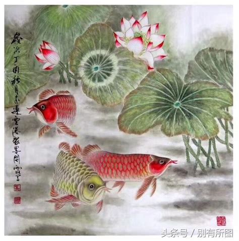 金龍魚風水|養對了龍魚，在風水上事半功倍！不可不知的龍魚風水。